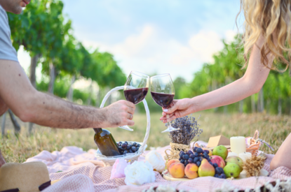 Top 7 Finest Wine-Tasting Spots in Plettenberg Bay